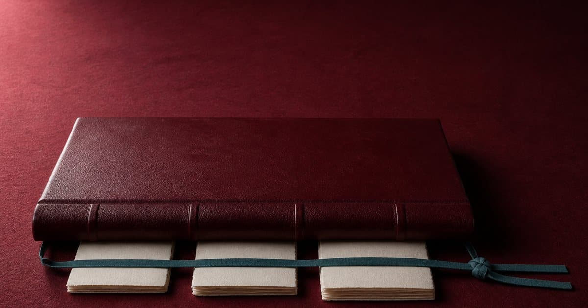 Oxblood parent ledger covers three subsidiary bundles tied by one teal ribbon, the 403 declaration as shared liability.